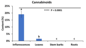 cannabinoid - bagian tanaman ganja - senyawa metabolit - CBD
